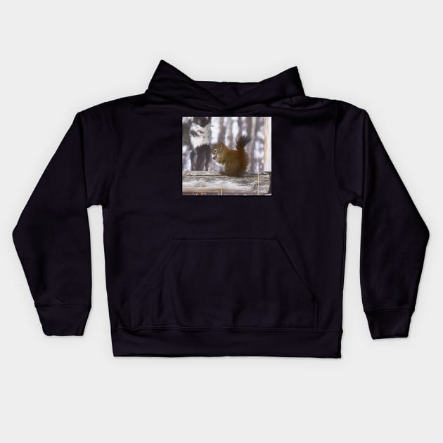 Squirrel on the fence illustration Kids Hoodie by CanadianWild418